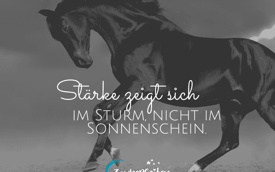 Starke Sprüchebilder