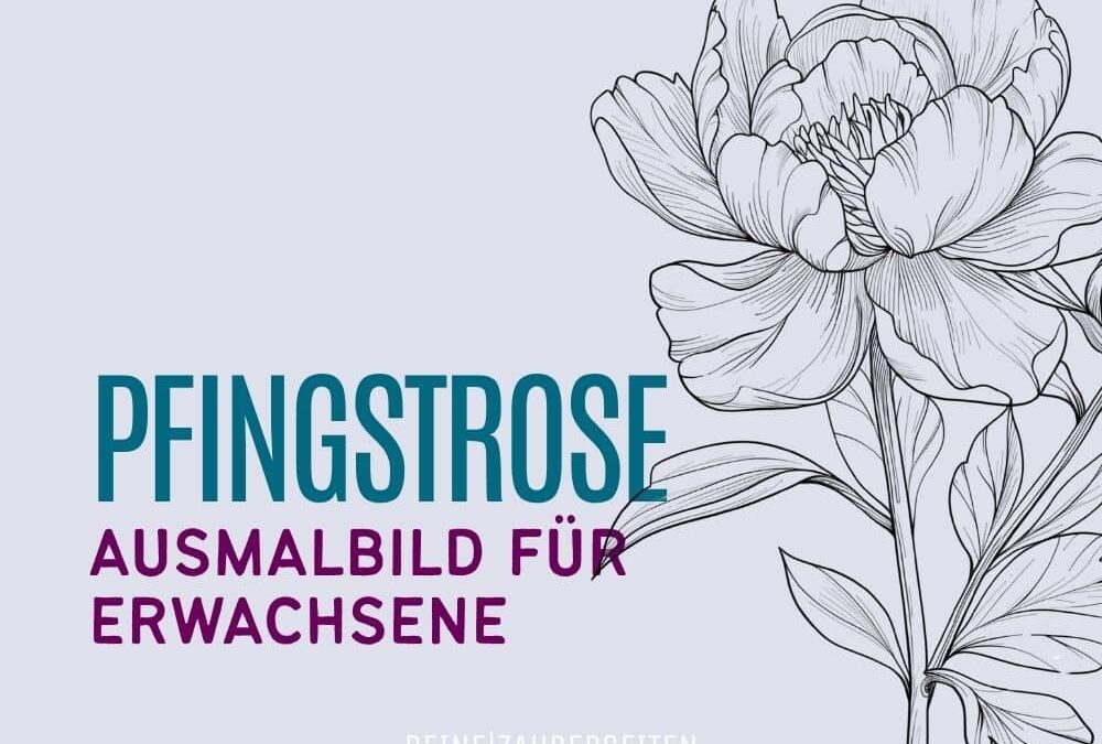 Kostenlose Malvorlagen für Erwachsene: Pfingstrose Ausmalbild zum Ausdrucken