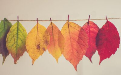 Kurze Herbst Sprüche & Zitate für die goldene Jahreszeit