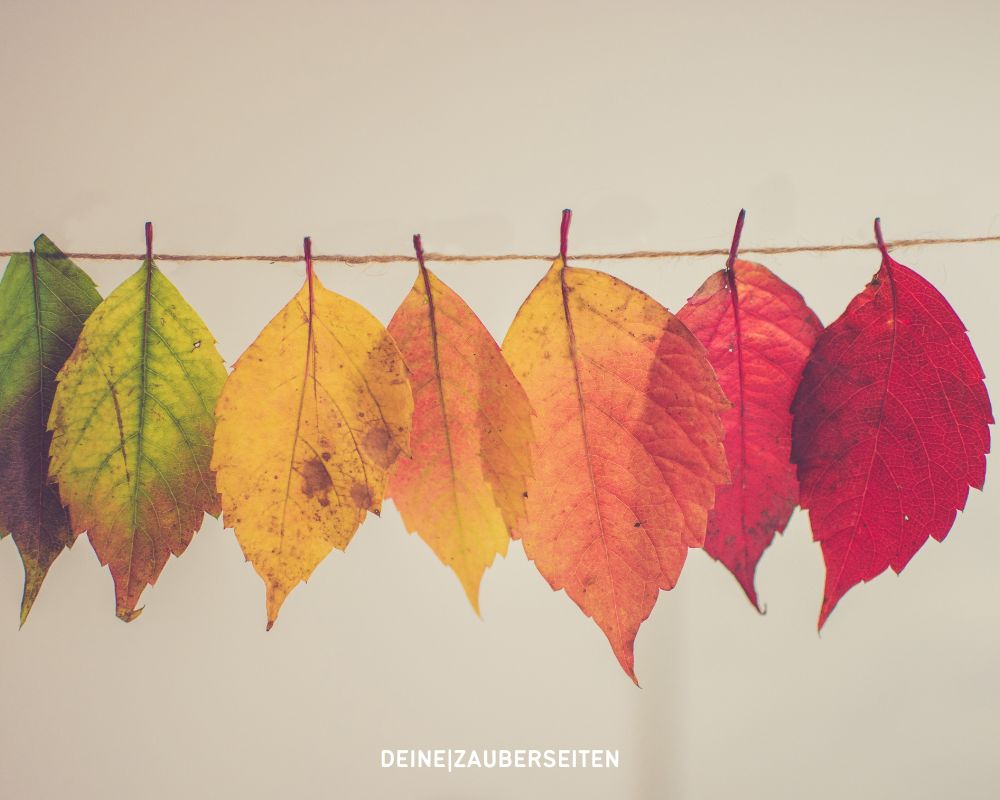 Herbst Sprüche herbst sprüche