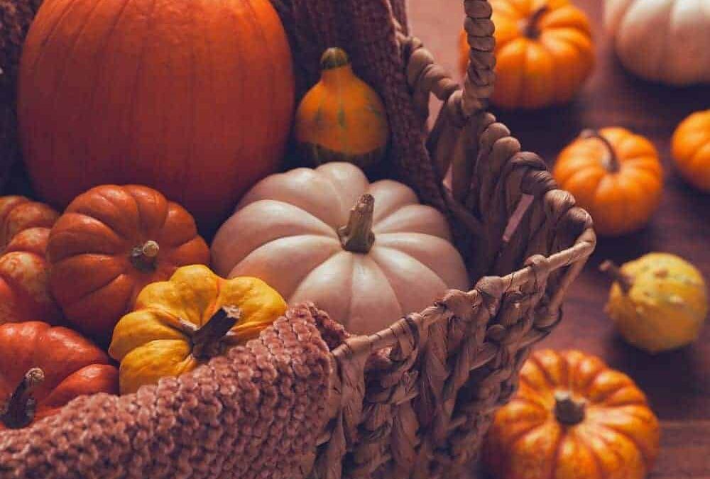 Schöne Herbst Sprüche & Bilder