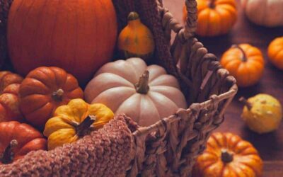 herbst bilder sprüche schön