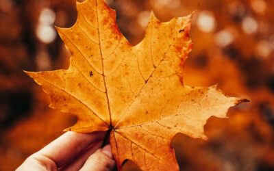 Hallo Oktober: Goldener Herbst in Bildern zum Download & Teilen
