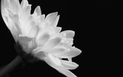 Allerheiligen: Sprüche & Bilder zur Erinnerung an Verstorbene