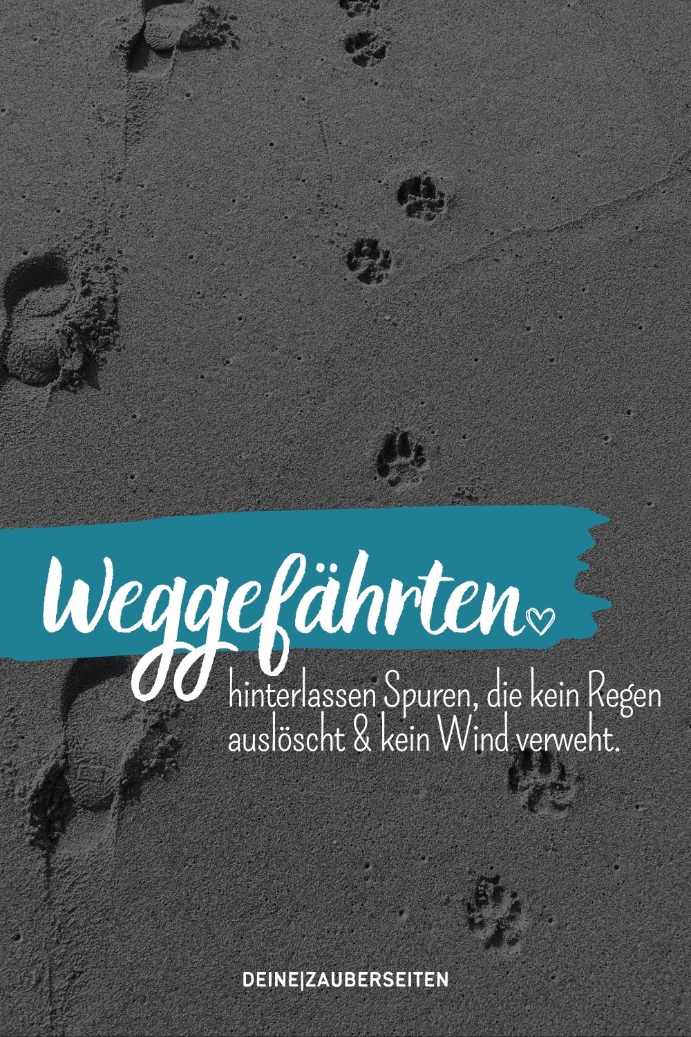 haustiere totensonntag