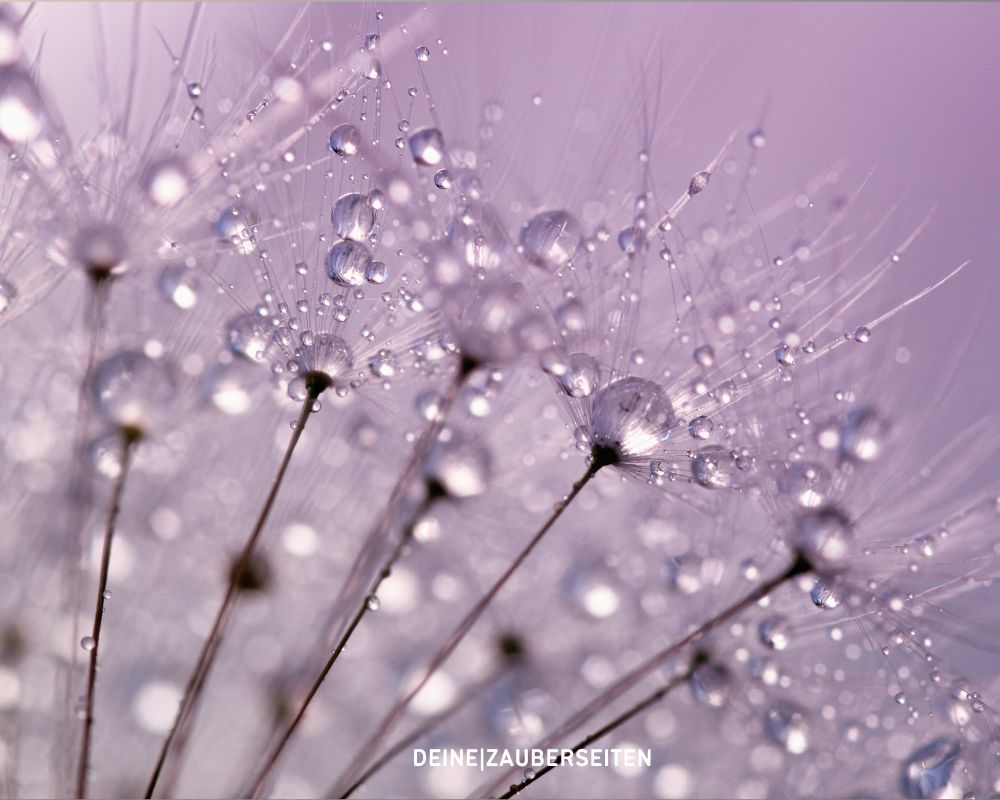 stier jahreshoroskop