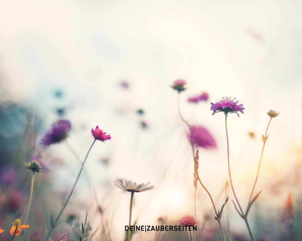 wassermann jahreshoroskop