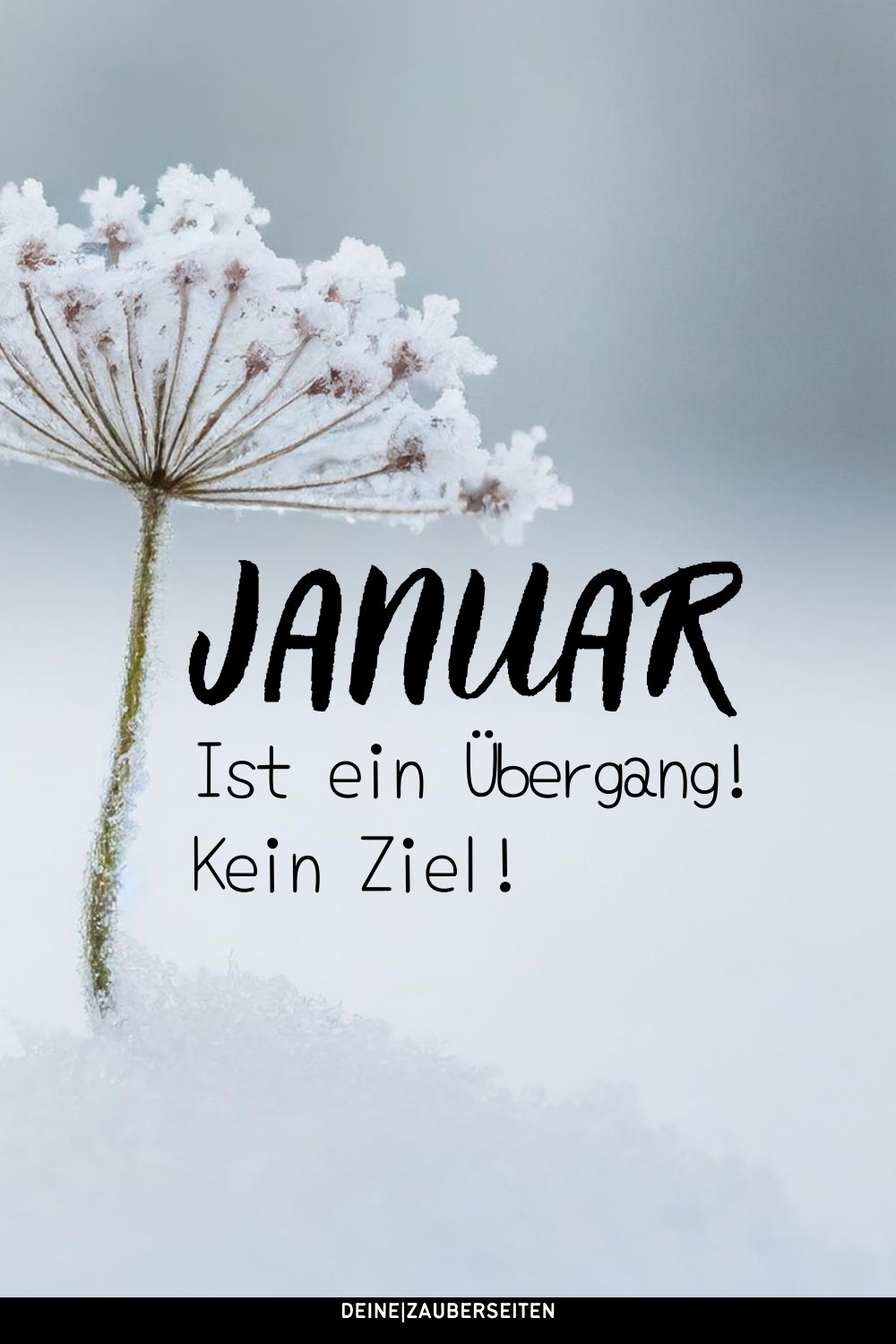 Kurze Januar Sprüche Kurze Januar Sprüche