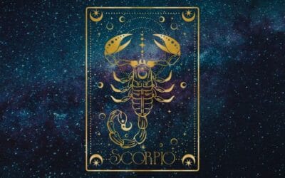 jahreshoroskop skorpion